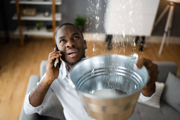 Reliable South Waverly, PA Water damage restoration Solutions