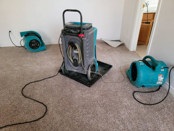 Sewage cleanup and water damage restoration in South Waverly, PA