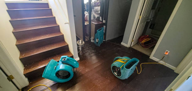 Best Water damage restoration near me  in South Waverly, PA