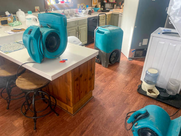 Best Ceiling water damage repair  in South Waverly, PA