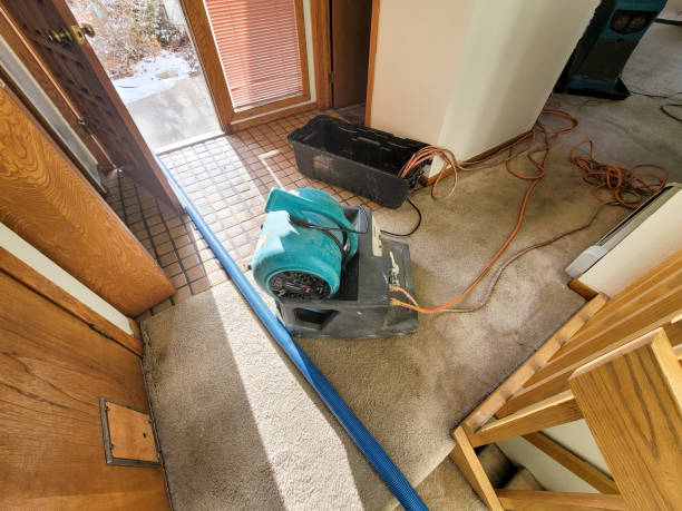Best Sewage cleanup and water damage restoration  in South Waverly, PA