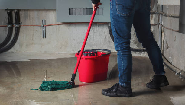 Best Flood restoration services  in South Waverly, PA