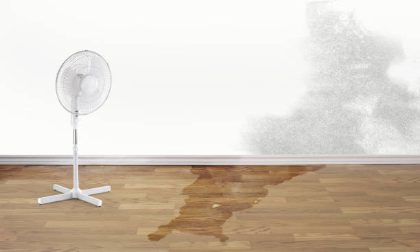Best Fire Damage Restoration  in South Waverly, PA