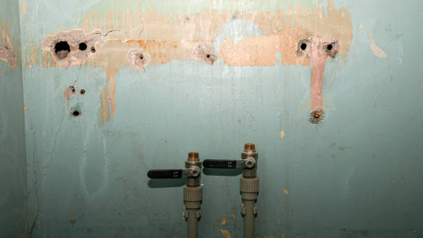 Best Water damage restoration near me  in South Waverly, PA