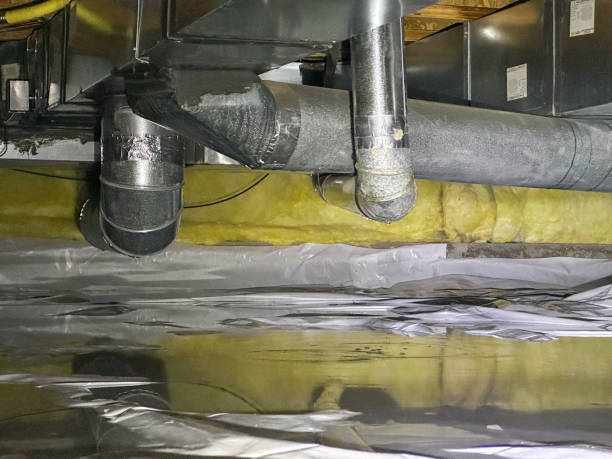 Best Flooded house restoration  in South Waverly, PA