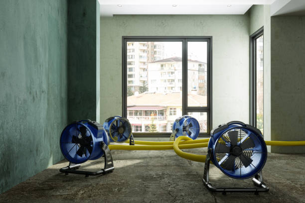 Best Water damage restoration experts  in South Waverly, PA