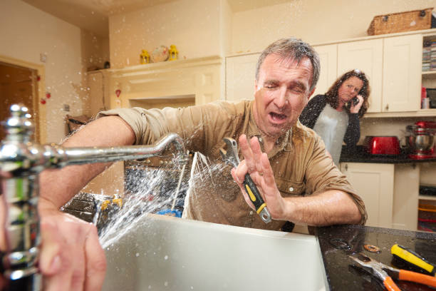 Best Local water damage restoration  in South Waverly, PA